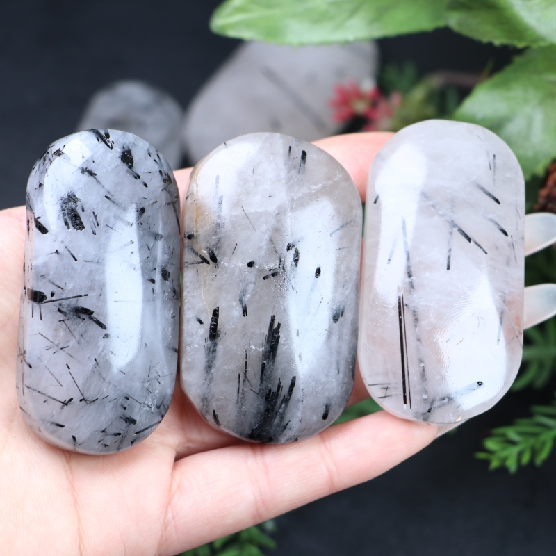 Office Furniture Equipment - 1pc Natural Decorative Palm Random-Black Rutiled